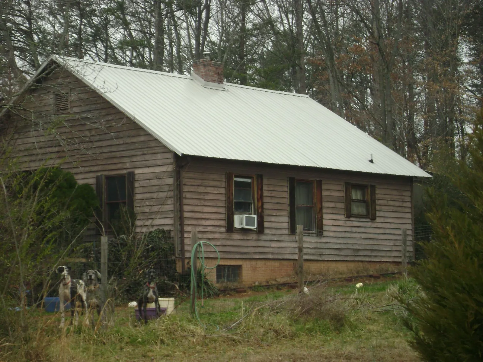 White metal roof on an old wood sided farmhouse, from a Asphalt Shingle Roof Repair job in West Camp